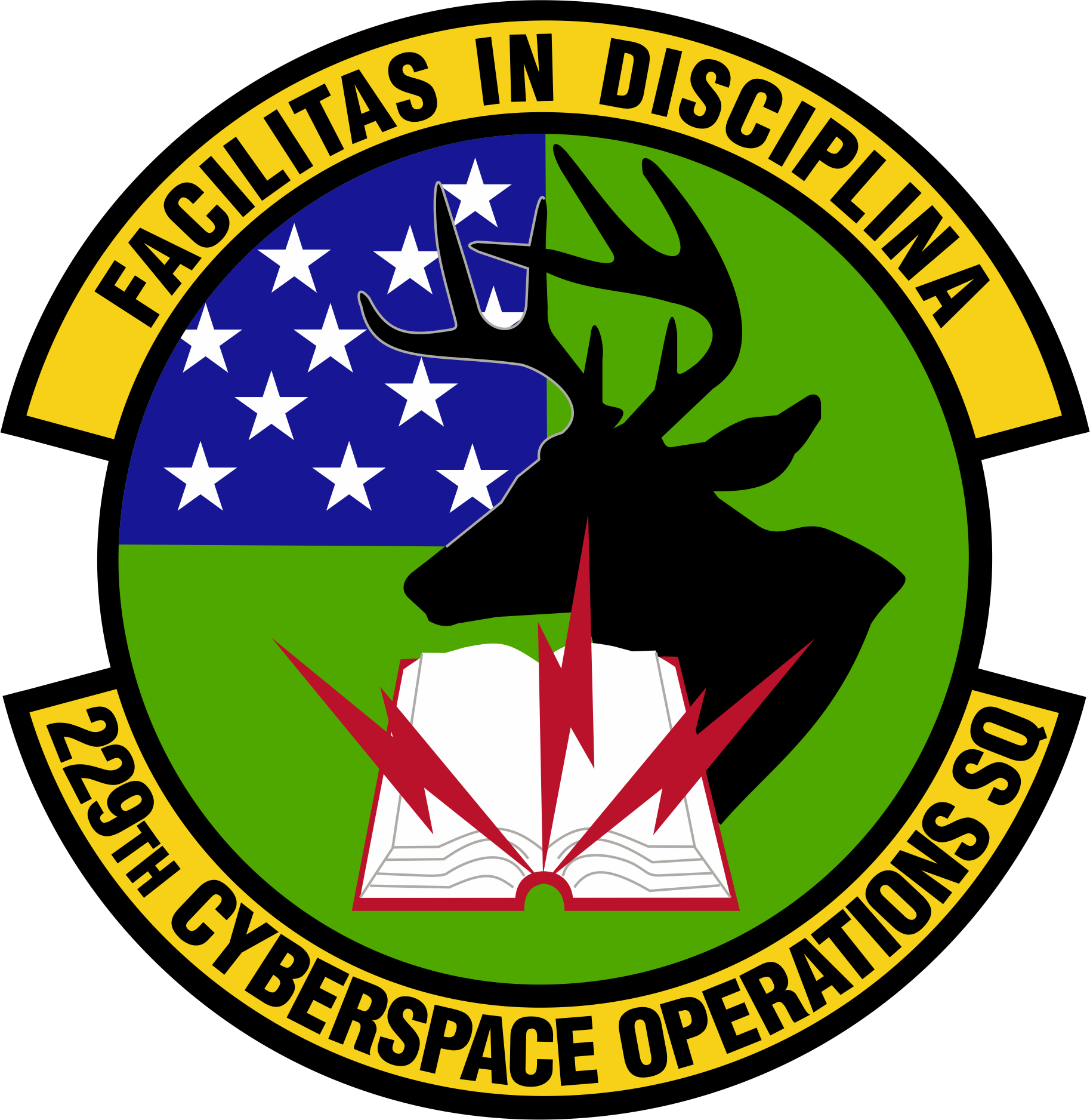 Official 229th Operations Squadron patch